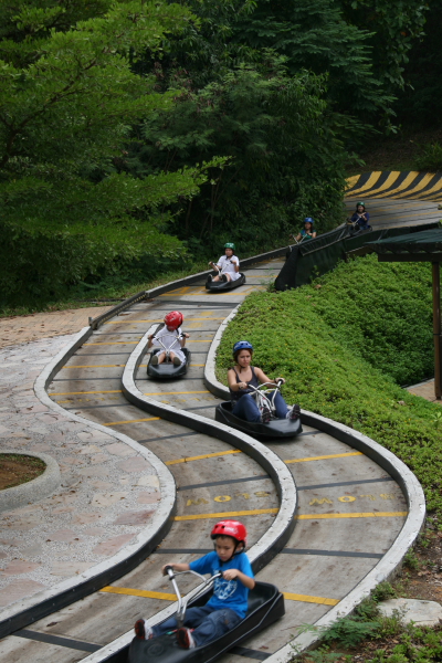 Sentosa: Skyline Luge