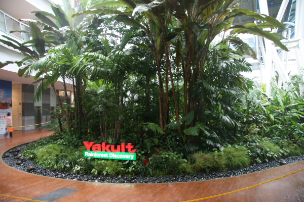 Singapore: Zentrum beim Singapore Flyer Riesenrad