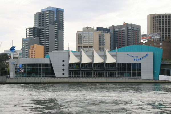 Melbourne: Melbourne Aquarium