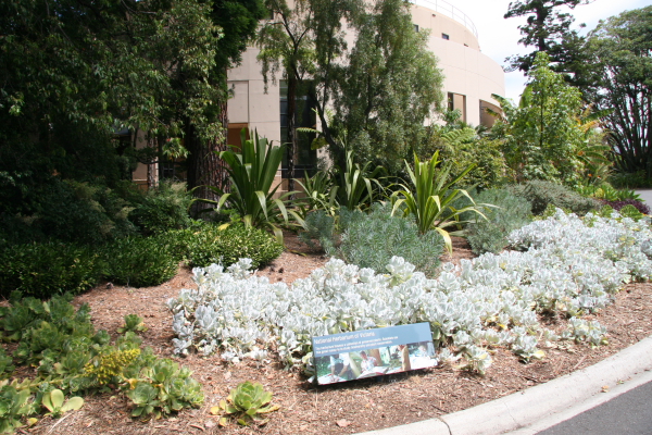 Melbourne: Royal Botanic Gardens
