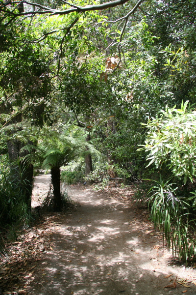 Melbourne: Royal Botanic Gardens