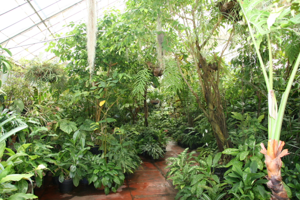 Melbourne: Royal Botanic Gardens