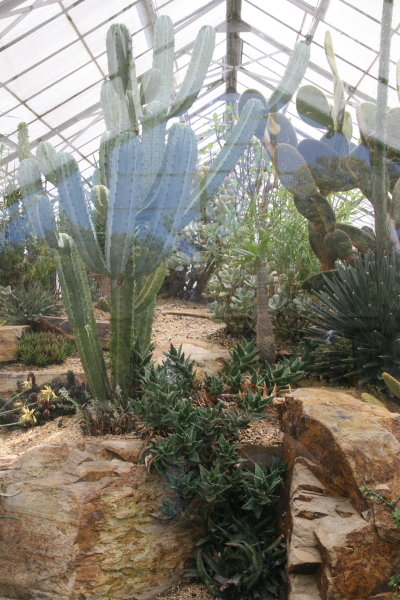 Melbourne: Royal Botanic Gardens