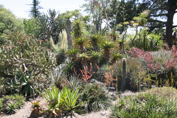 Melbourne: Royal Botanic Gardens