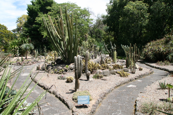 Melbourne: Royal Botanic Gardens