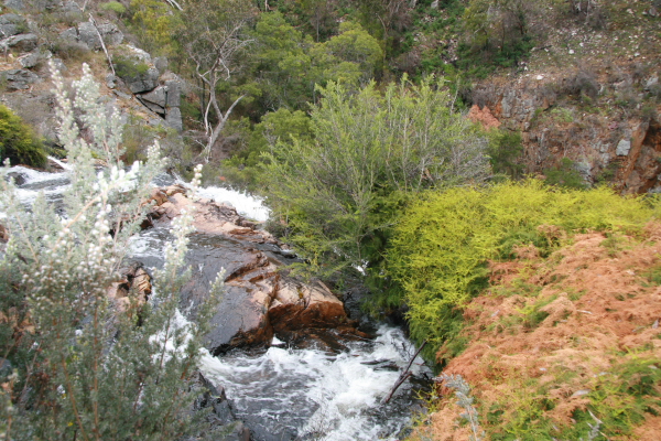 Grampians: Mackenzie Waterfalls