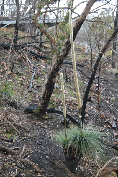 Grampians National Park