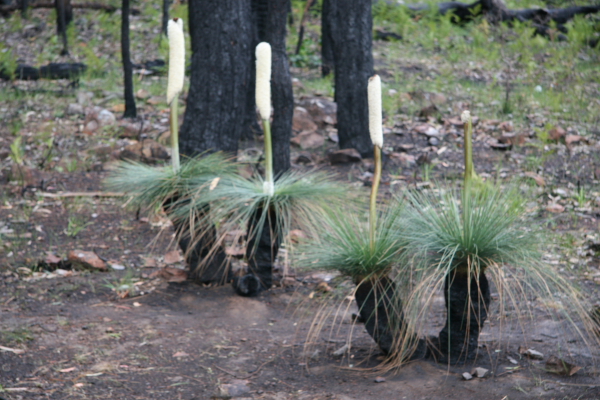 Grampians National Park