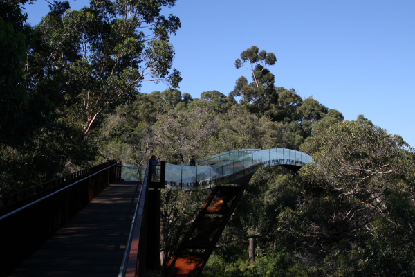 Perth: Kings Park Broadwalk
