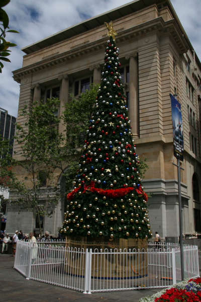 Perth: Christmas Tree