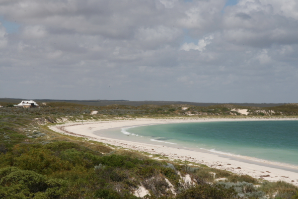 Pinacles: North of Perth