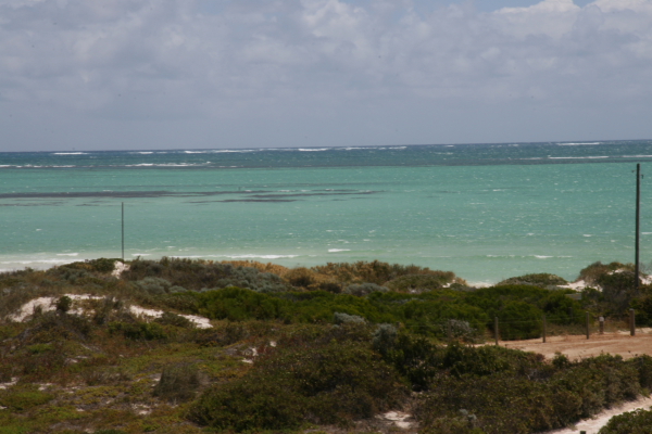 Pinacles: North of Perth