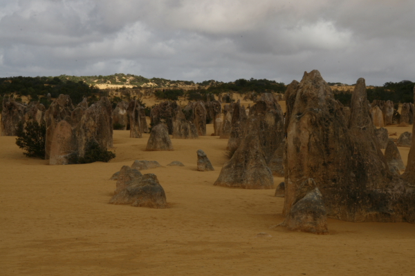 Pinacles: In the Pinacles