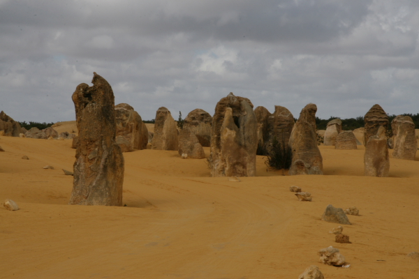 Pinacles: In the Pinacles