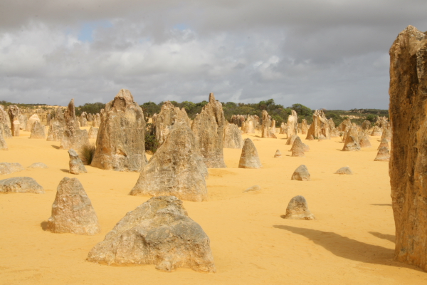 Pinacles: In the Pinacles