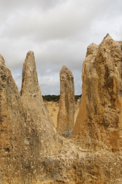 Pinacles: In the Pinacles