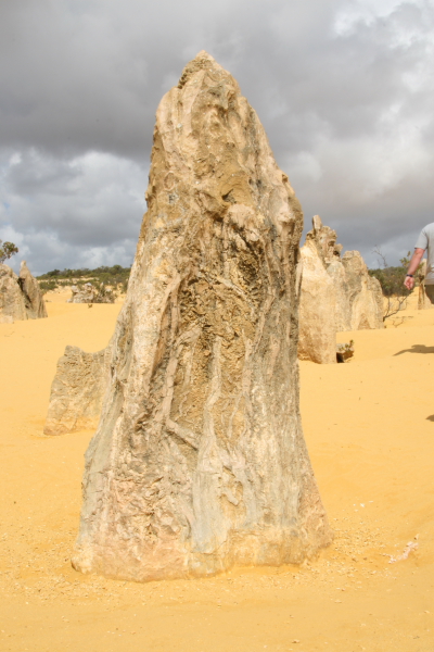 Pinacles: In the Pinacles