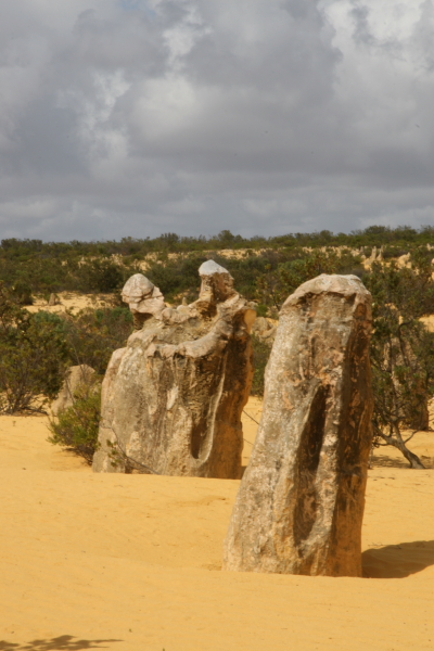 Pinacles: In the Pinacles