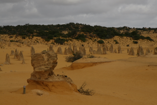 Pinacles: In the Pinacles