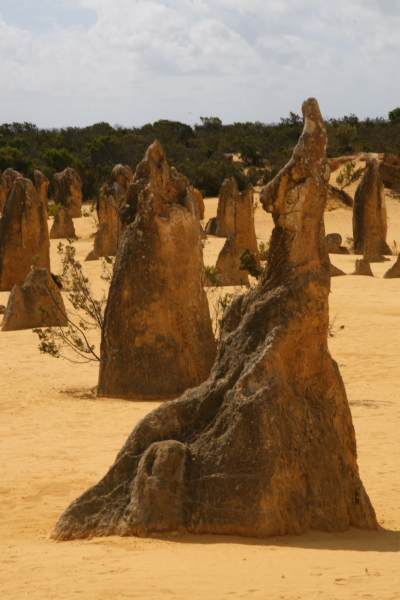 Pinacles: In the Pinacles