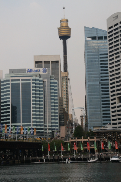 Sydney: Sydney Tower from Darling Harbour