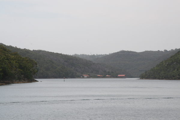 Sydney: View from Port Jackson