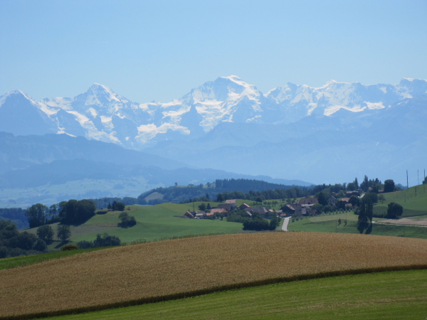  Diverse: Aussicht vom Gurten auf Eiger, Mönch und Jungfrau