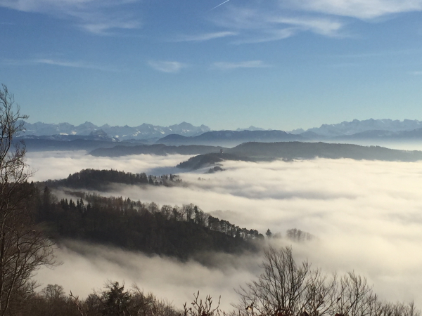  Üetliberg: Blick zur Felsenegg über dem Wolkenmeer