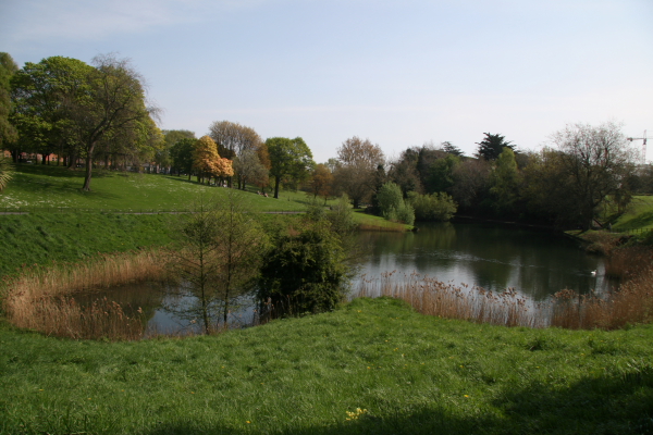 Dublin: Park in Killiney