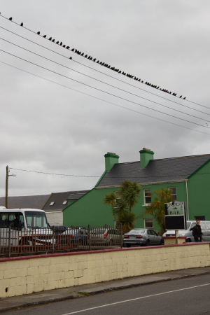 Irland: Bei Killarney