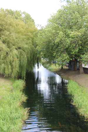  Dublin: Grand Canal in Portbello