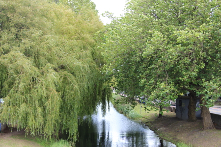  Dublin: Grand Canal in Portbello