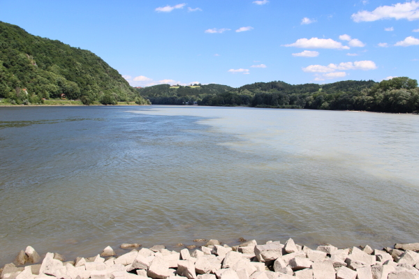  Passau: Zusammenfluss Ilz Donau Inn