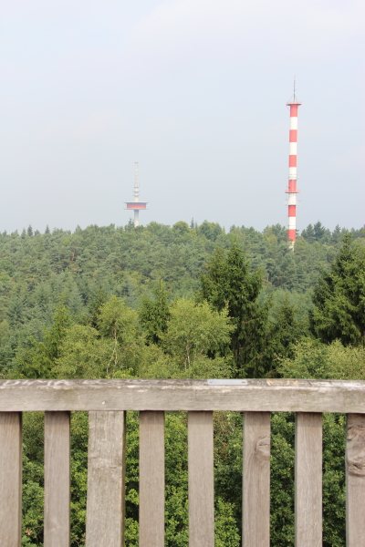  Dammer Berge: Auf dem Aussichtsturm