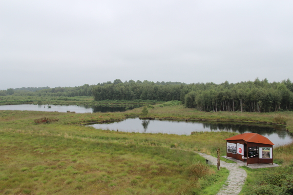  Goldenstedter Moor: Goldenstedter Moor