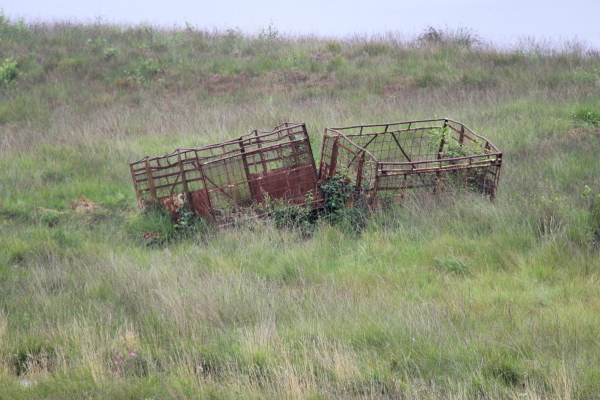  Goldenstedter Moor: Goldenstedter Moor