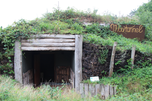  Goldenstedter Moor: Goldenstedter Moor