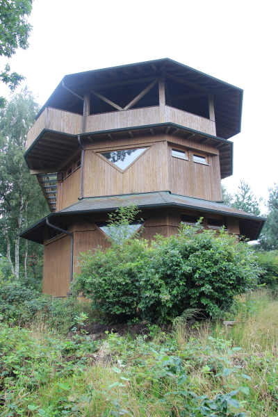  Goldenstedter Moor: Goldenstedter Moor