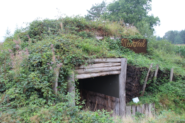  Goldenstedter Moor: Goldenstedter Moor