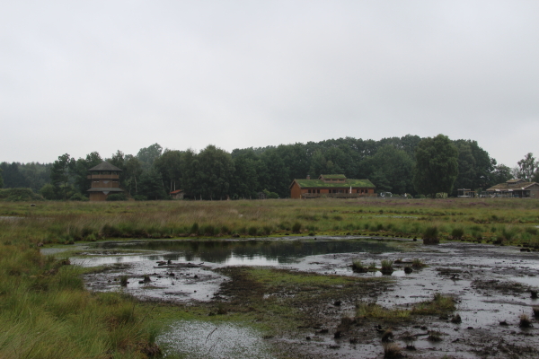  Goldenstedter Moor: Goldenstedter Moor