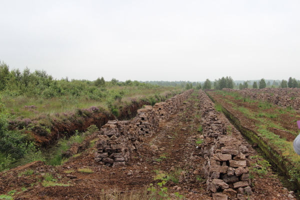  Goldenstedter Moor: Goldenstedter Moor