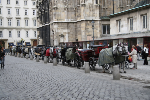 Wien: Kutschen vor dem Stephansdom