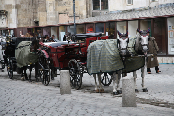 Wien: Kutschen vor dem Stephansdom
